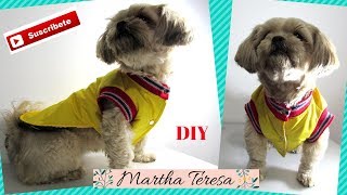 COMO HACER ESTE LINDO CHALECO PARA PERRITODIY [upl. by Zurn]