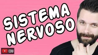 SISTEMA NERVOSO  FISIOLOGIA  Aula  Biologia com Samuel Cunha [upl. by Ramyaj833]