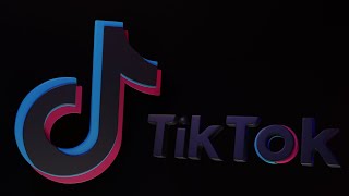 TikTok Logo Animation [upl. by Iinde]