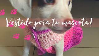 Vestido para perrita a crochet tutorial paso a paso [upl. by Patterson]