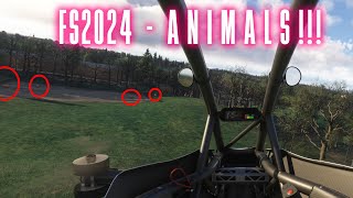 Finding ANIMALS in MSFS2024 [upl. by Ringo]