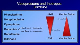 Shock Lesson 5  Pressors [upl. by Aytnahs]