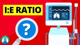 InspiratorytoExpiratory Ratio IE Ratio  Ventilator Settings [upl. by Kurzawa]