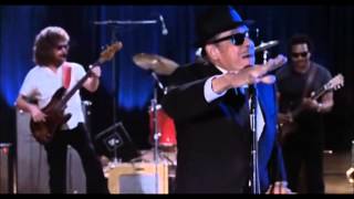 Blues Brothers Concert Intro [upl. by Ahsienek]