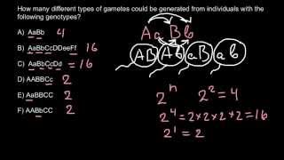 Gametes and genotypes simple formula for exam [upl. by Imhskal930]