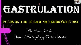 3RD WEEK OF DEVELOPMENT  GASTRULATION amp DERIVATIVES OF GERM LAYERS [upl. by Neimad]