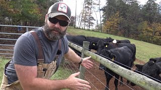 CATTLE FENCING IDEAS FOR YOUR FARMRANCH [upl. by Dempster]