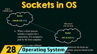 Sockets in Operating System [upl. by Aikcin]