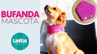 BUFANDA PARA MASCOTAS A CROCHET paso a paso  Lanitas y colores Easy crochet dog scarf [upl. by Delora921]