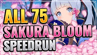 ALL 75 SAKURA BLOOM LOCATIONS DETAILED  EFFICIENT ROUTE Genshin Impact Farming Route Inazuma [upl. by Pampuch]