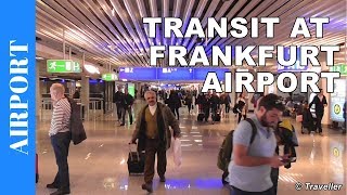 TRANSIT WALK AT FRANKFURT Airport FRA Terminal 1  Connection Flight Transfer Arriving amp Departing [upl. by Edin]