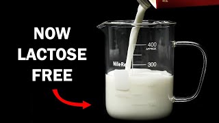 Making milk lactose free [upl. by Acimaj]